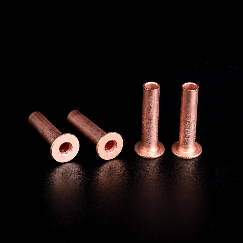 L12 6.35X19.1mm铜色平头管状钢铆钉